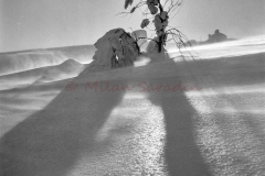 MilanBW-0206