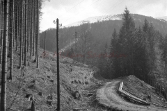 MilanBW-0091