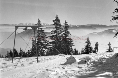 MilanBW-1528