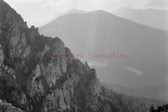 MilanBW-3520