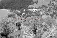 MilanBW-0265