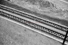 MilanBW-3743